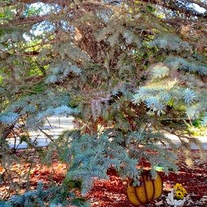 Meet your Posher, Marisol